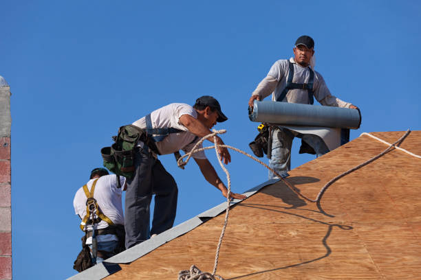 Best Emergency Roof Repair  in Toccoa, GA