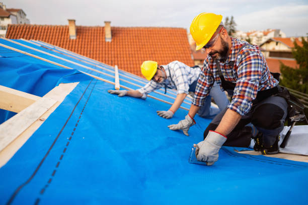 Best Roof Gutter Cleaning  in Toccoa, GA